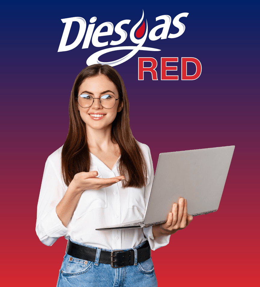 <p>REDES DOMESTICAS</p>